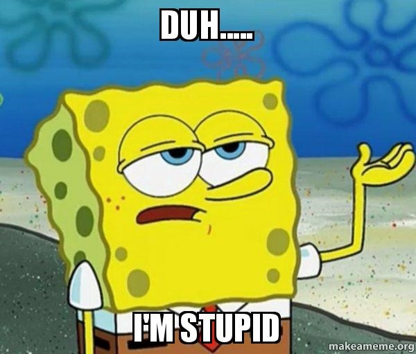I'm stupid meme