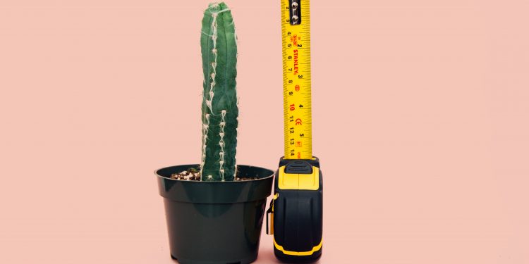 Measure Up - Photo by Charles đ”đ on Unsplash