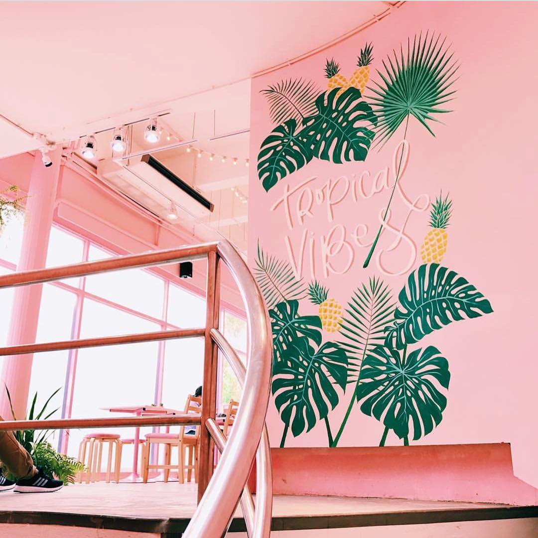 pinkplanter_pinkplanter_02