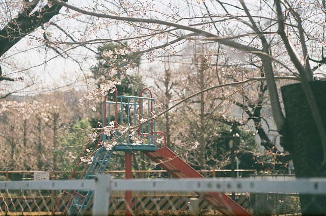 flickr.com/oonnuuoo