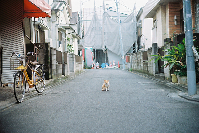 flickr.com/yamauchibukuro