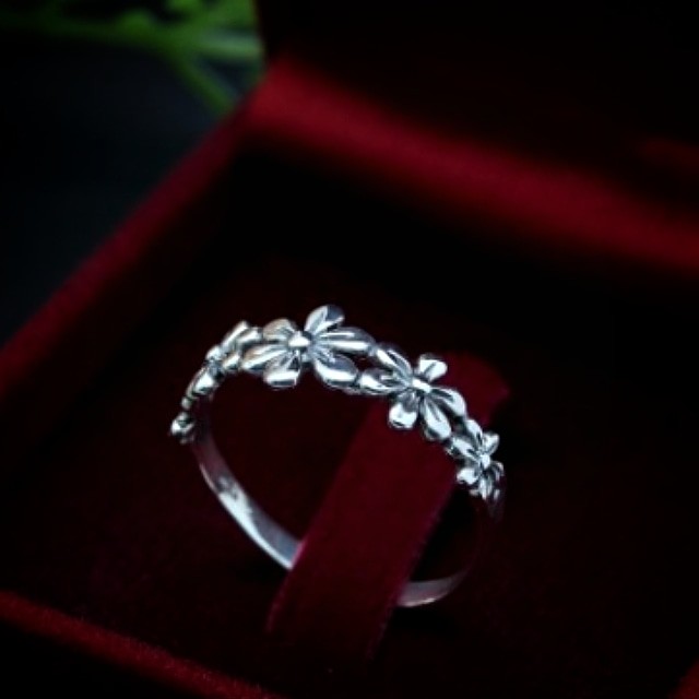 Price : 440 THB