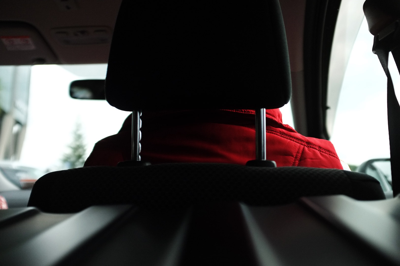 14 Hari Di New Zealand