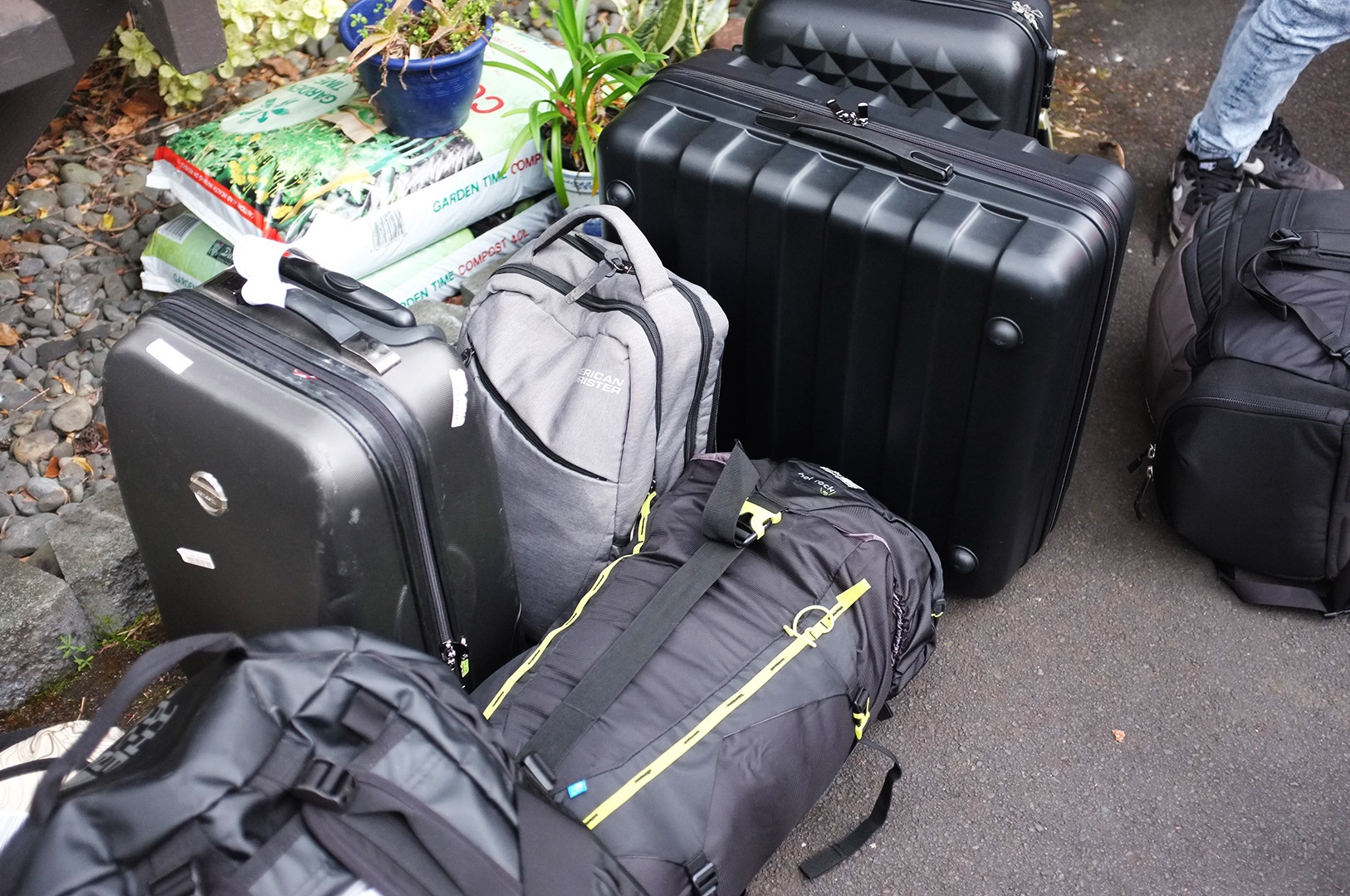 14 Hari Di New Zealand