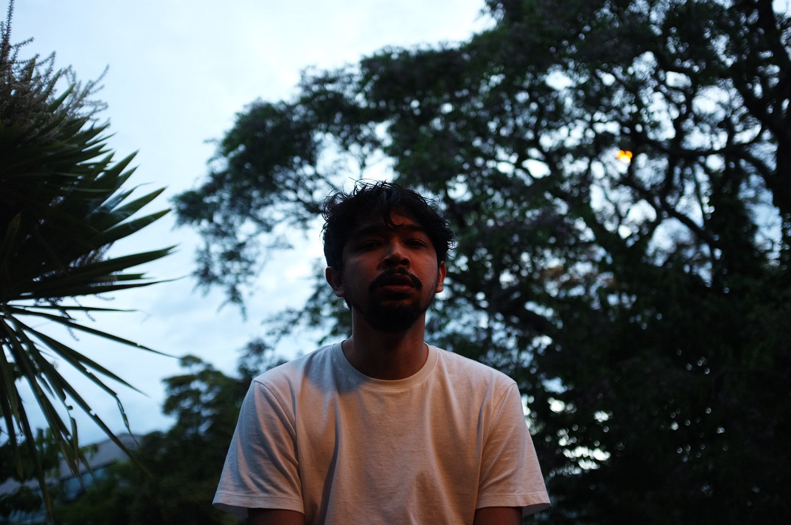 14 Hari Di New Zealand