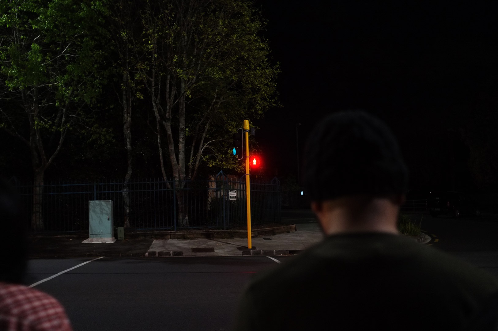 14 Hari Di New Zealand