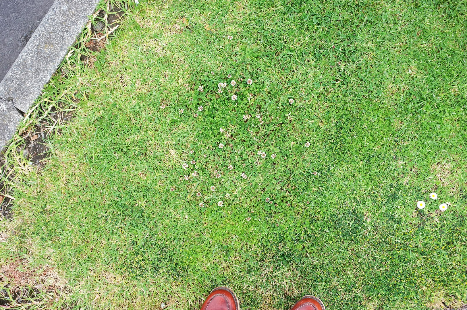 14 Hari Di New Zealand