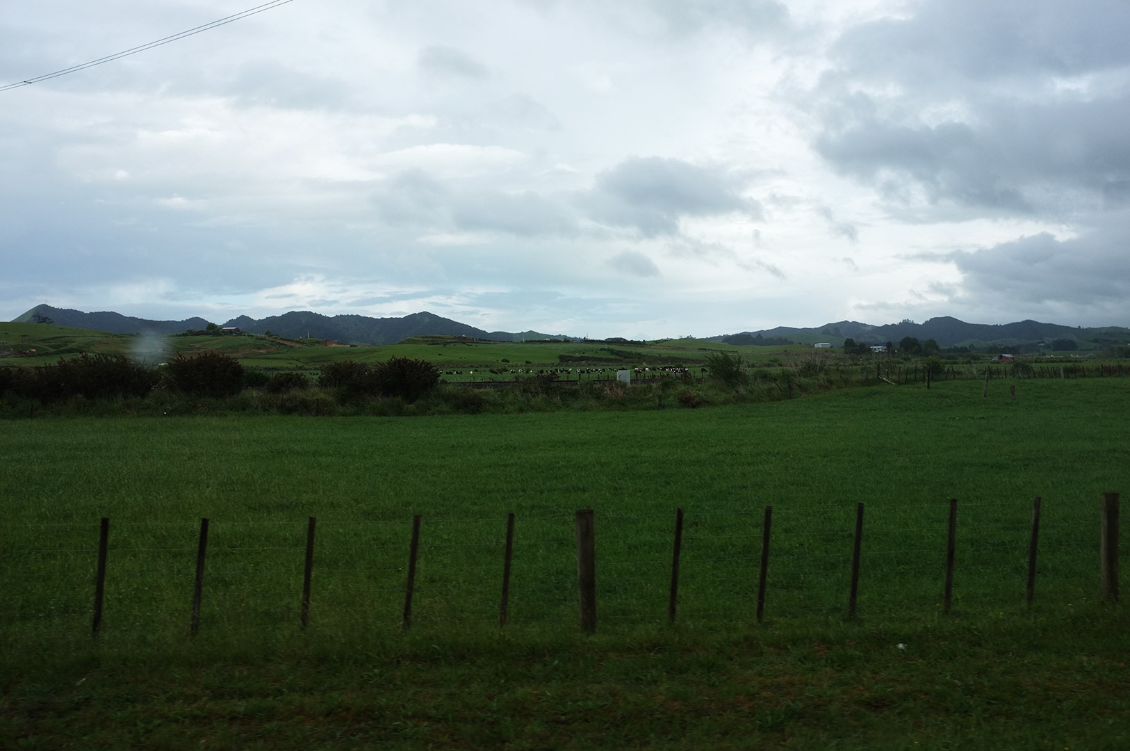 14 Hari Di New Zealand