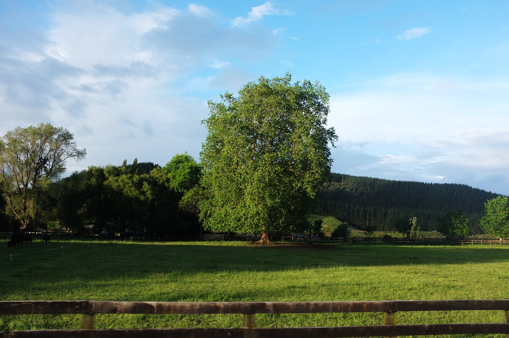 14 Hari Di New Zealand