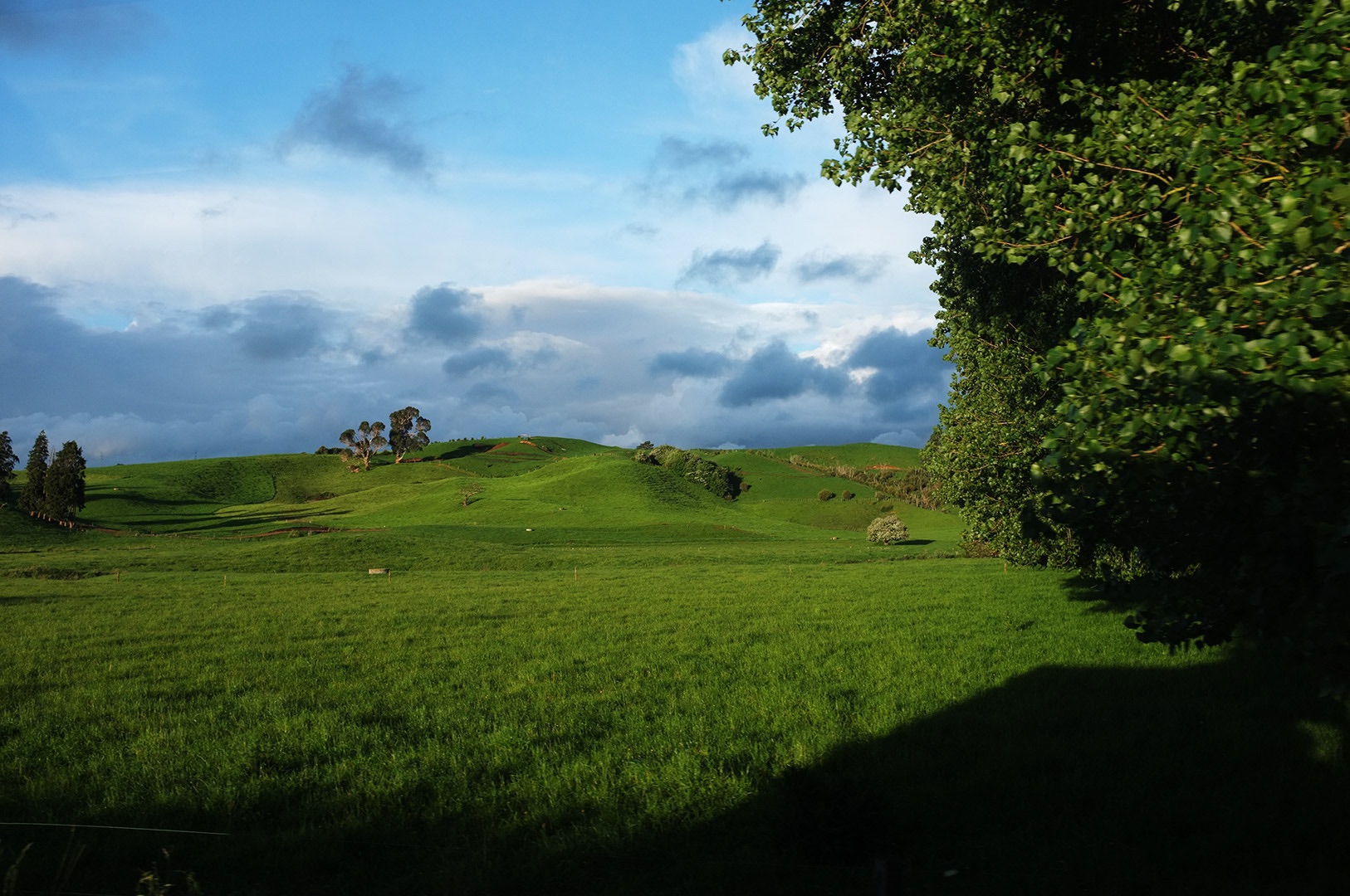 14 Hari Di New Zealand