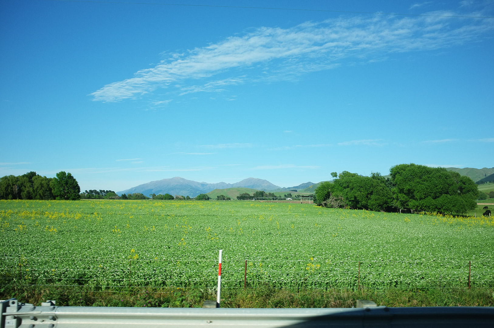 14 Hari Di New Zealand