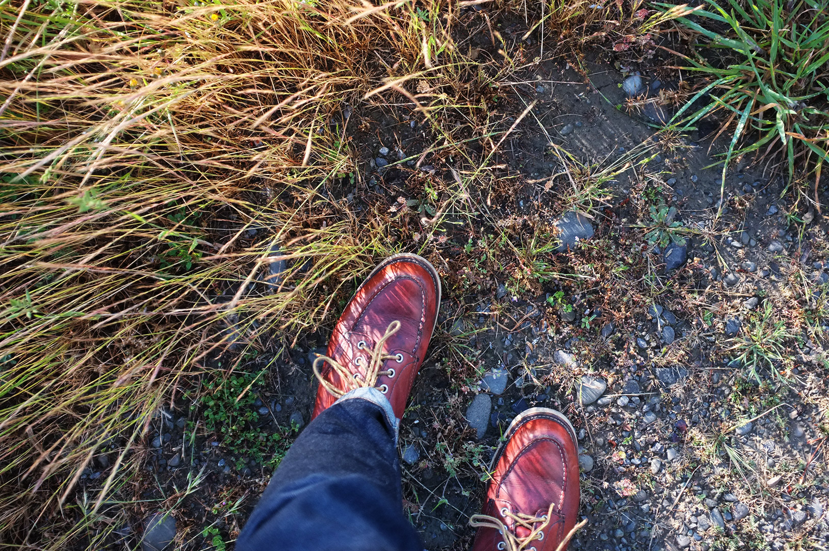 14 Hari Di New Zealand