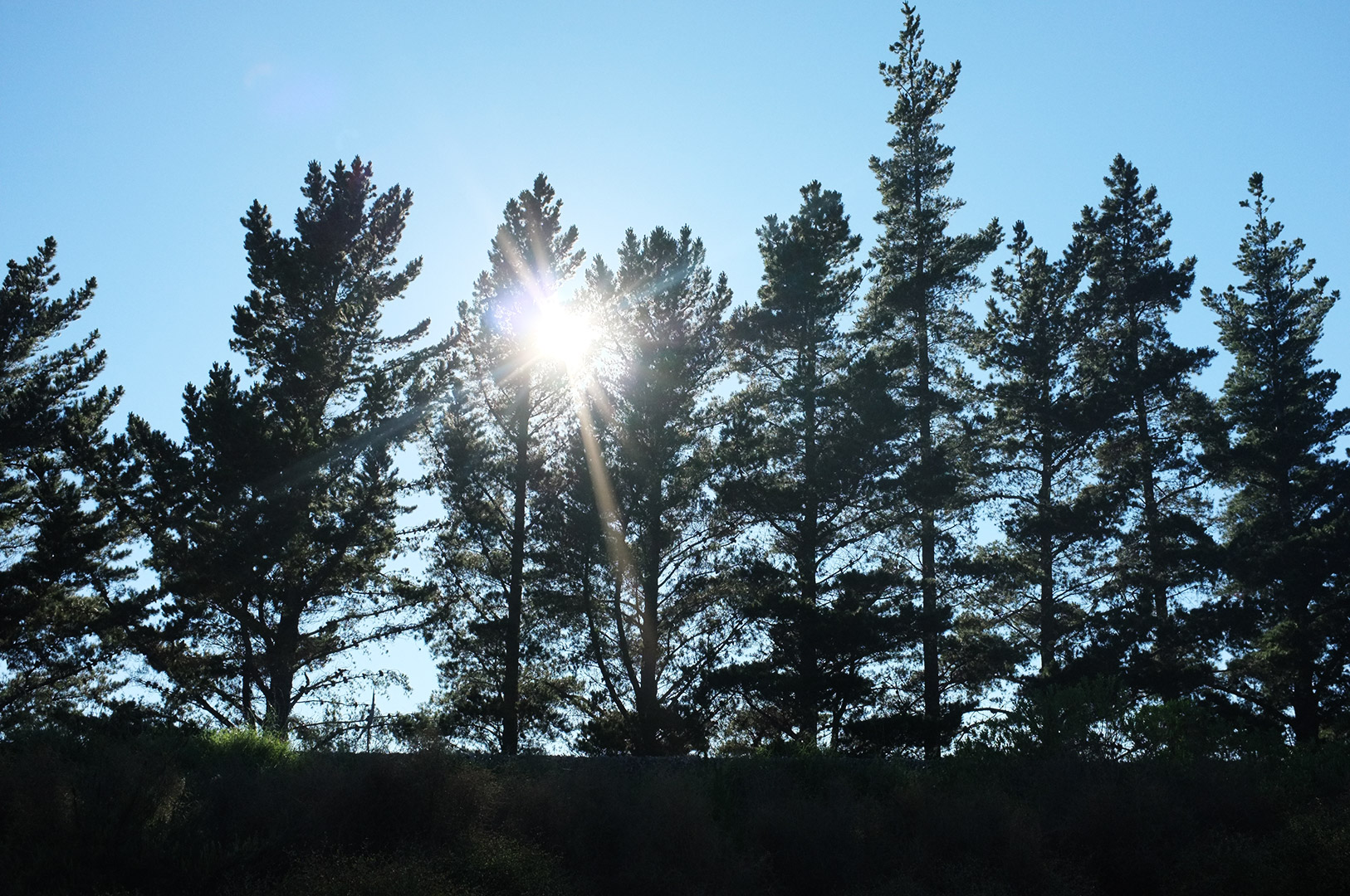 14 Hari Di New Zealand