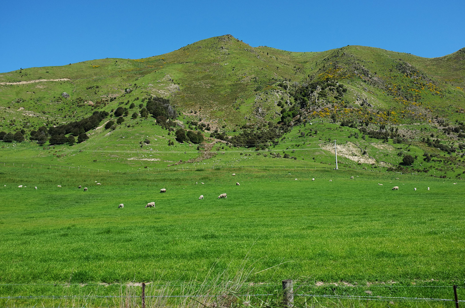 14 Hari Di New Zealand