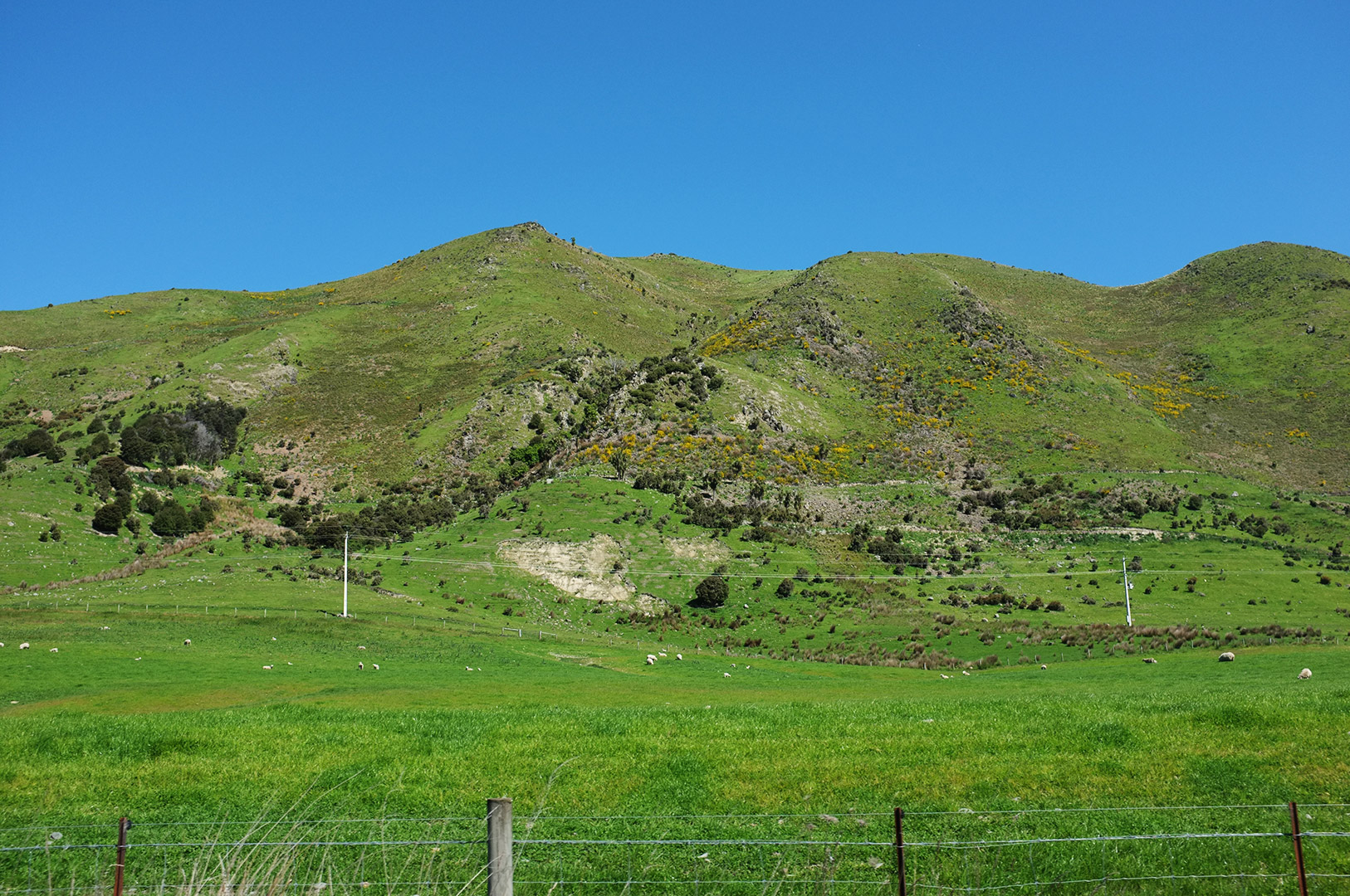 14 Hari Di New Zealand