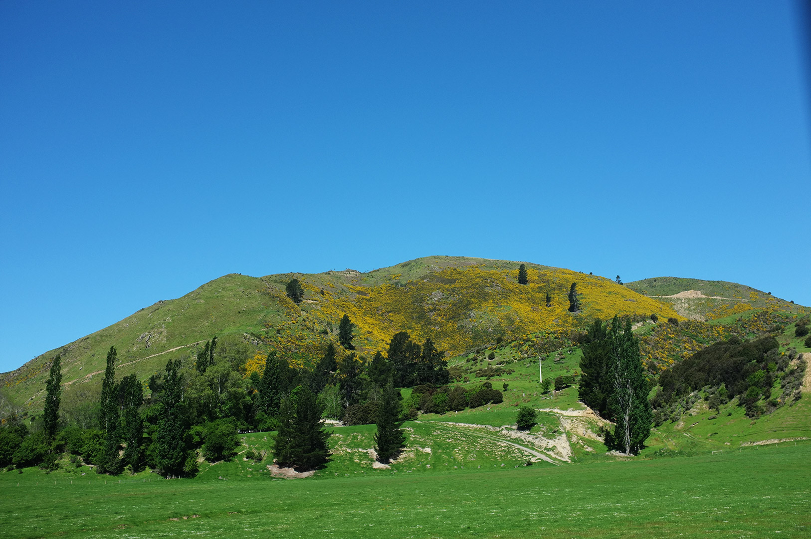 14 Hari Di New Zealand