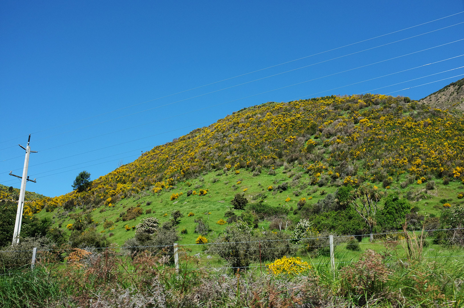14 Hari Di New Zealand