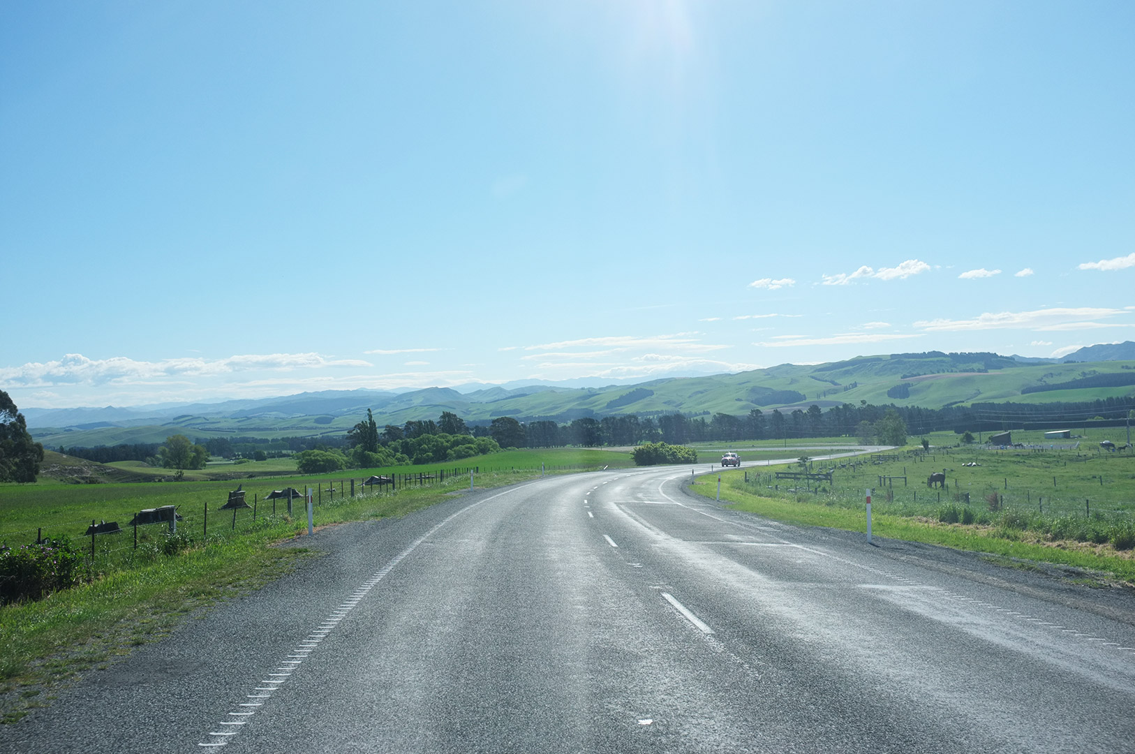 14 Hari Di New Zealand