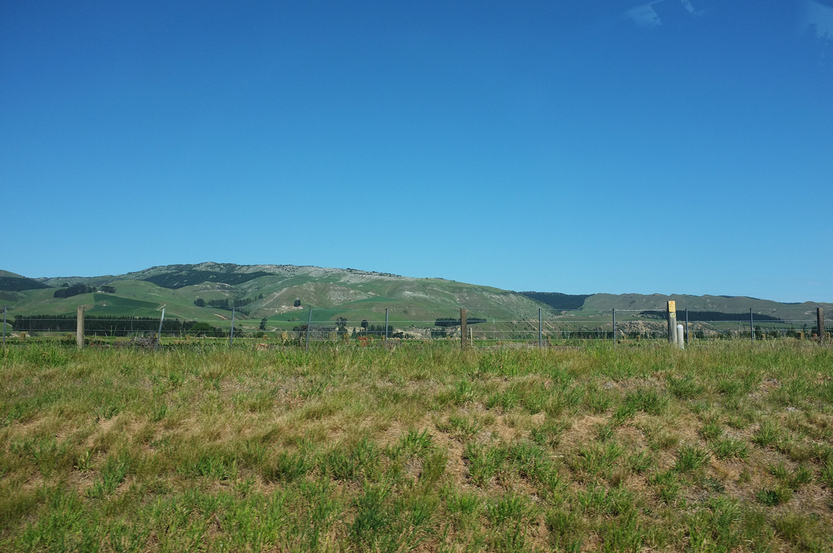 14 Hari Di New Zealand