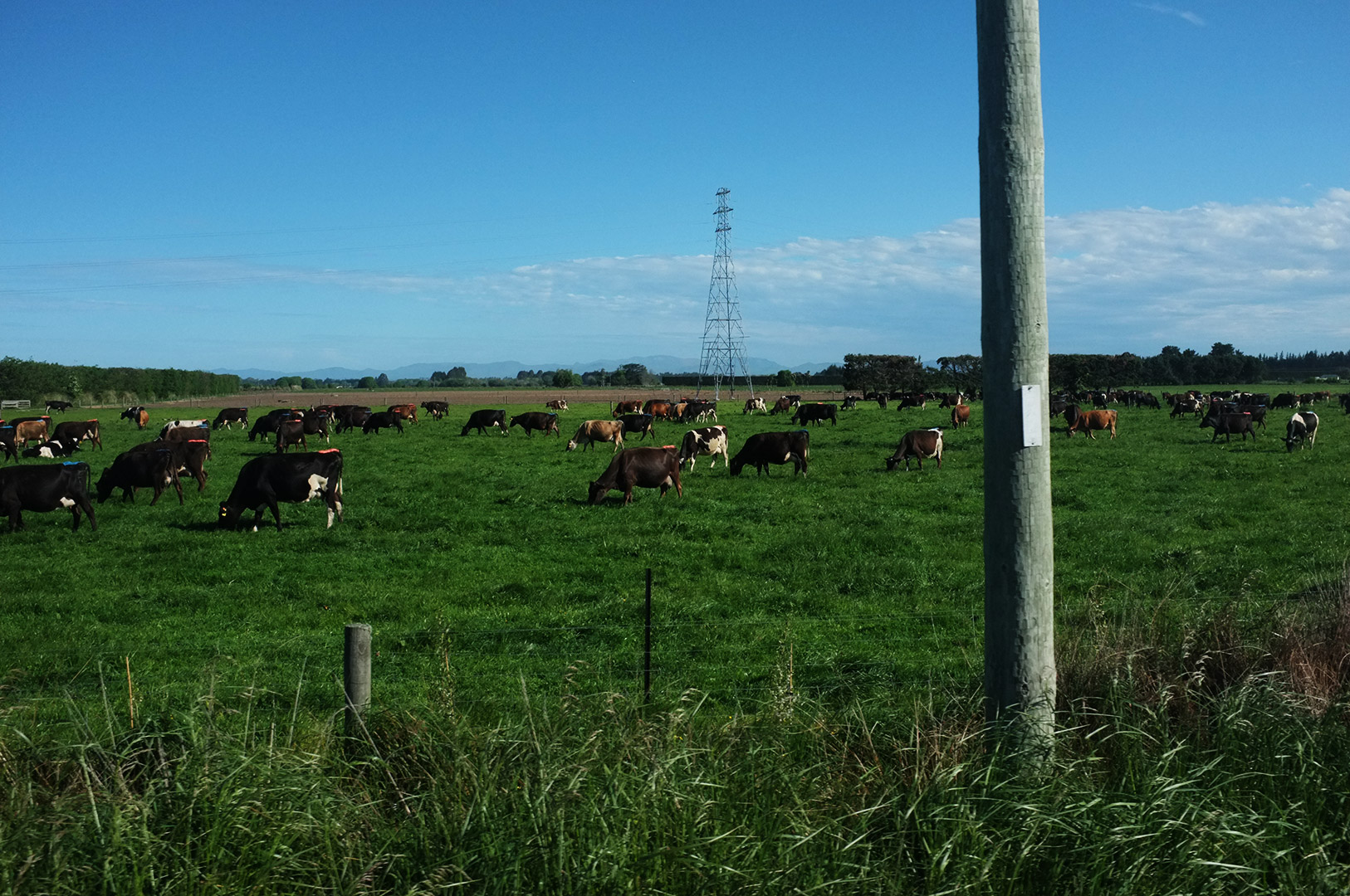 14 Hari Di New Zealand