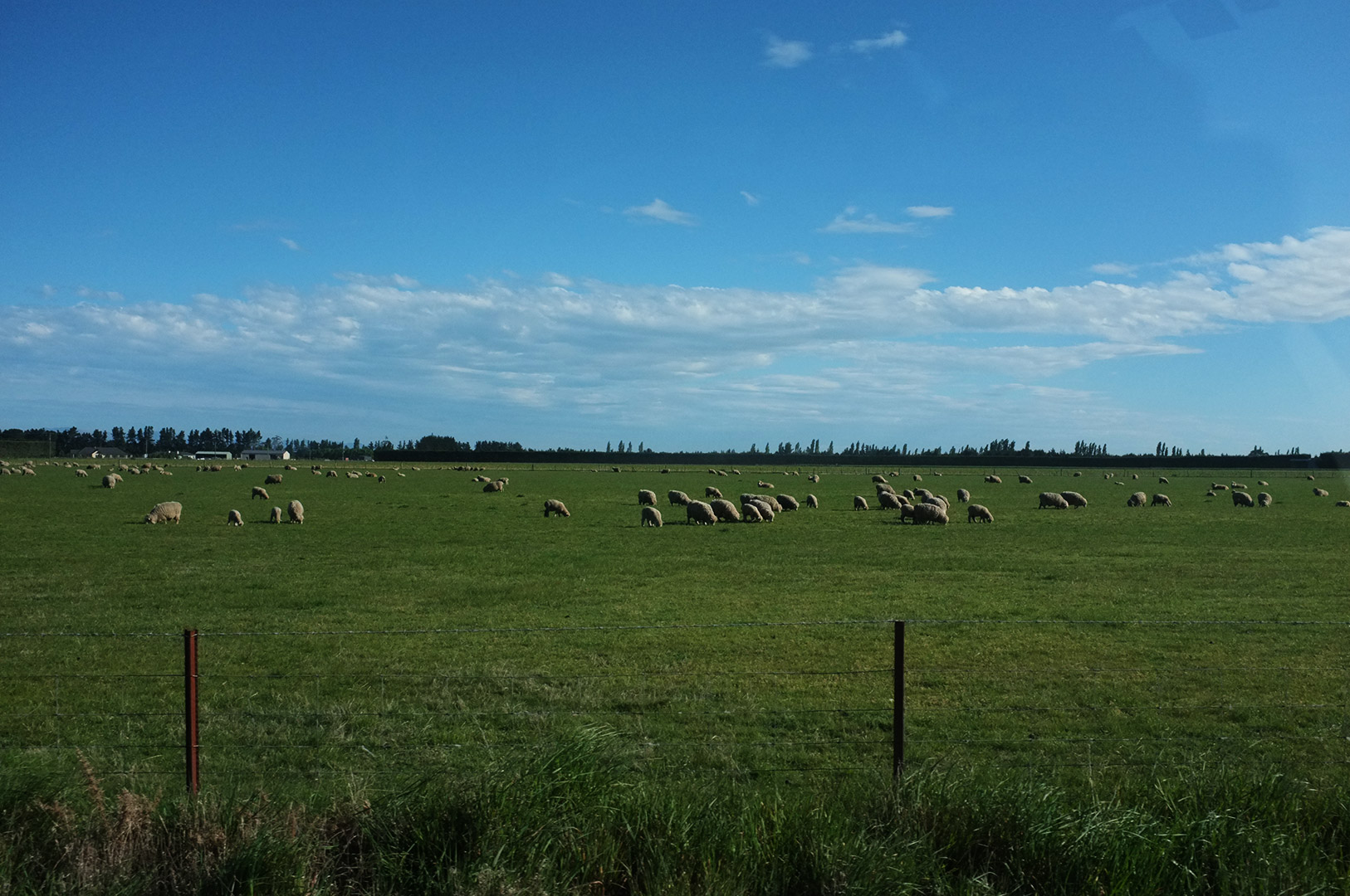 14 Hari Di New Zealand