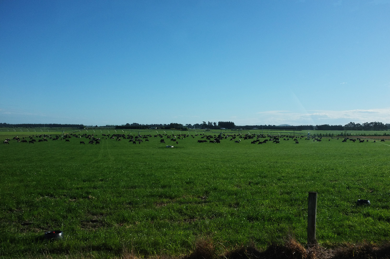 14 Hari Di New Zealand