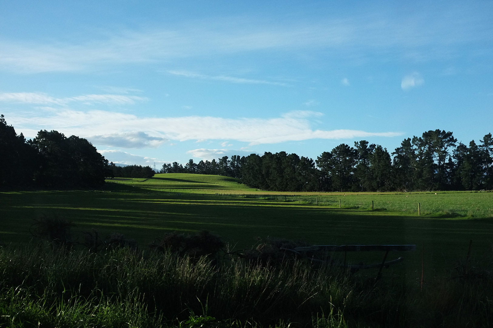 14 Hari Di New Zealand