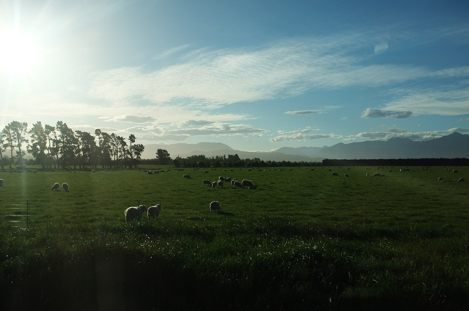 14 Hari Di New Zealand