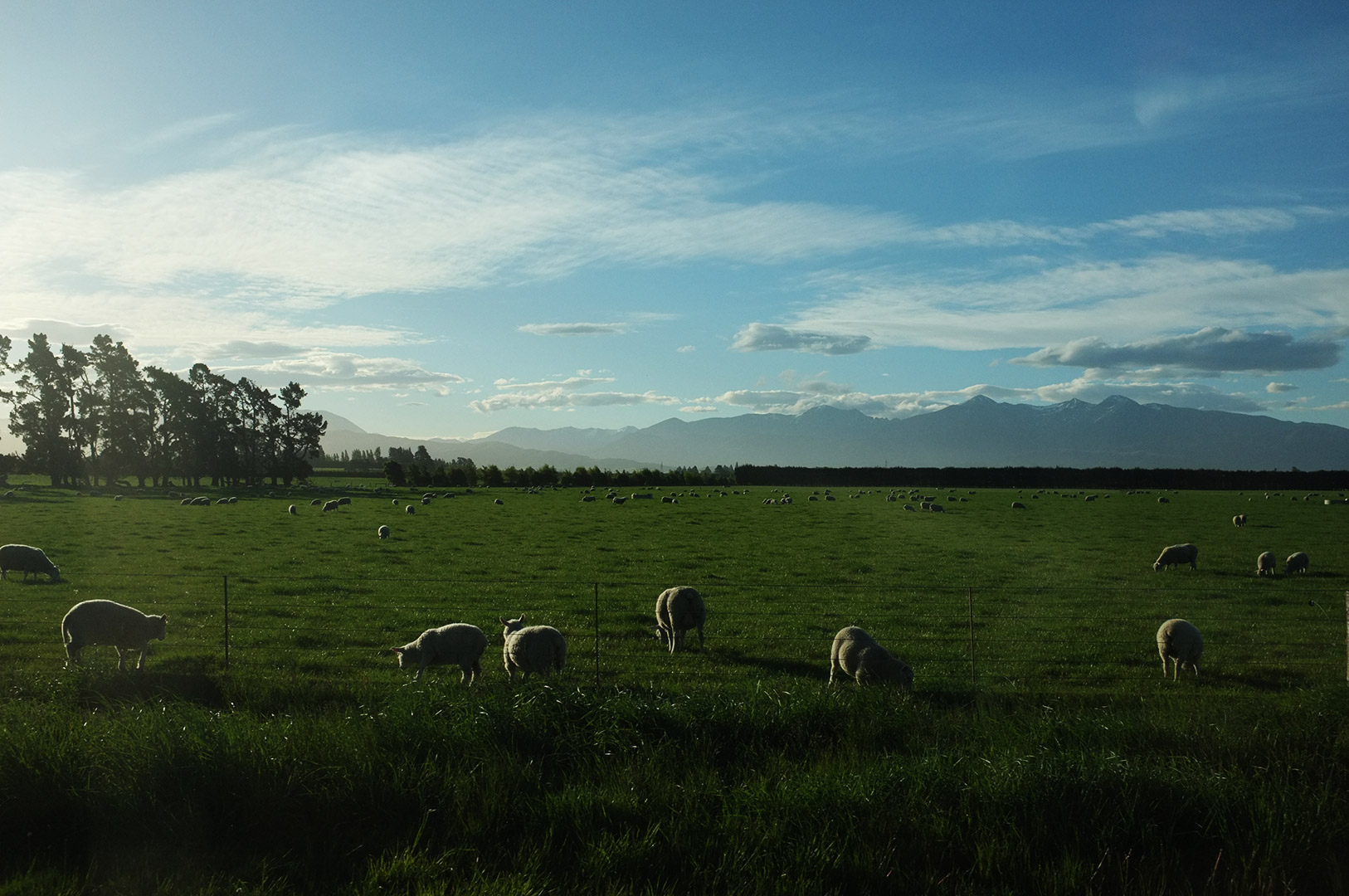 14 Hari Di New Zealand