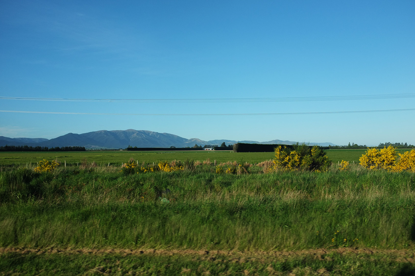 14 Hari Di New Zealand