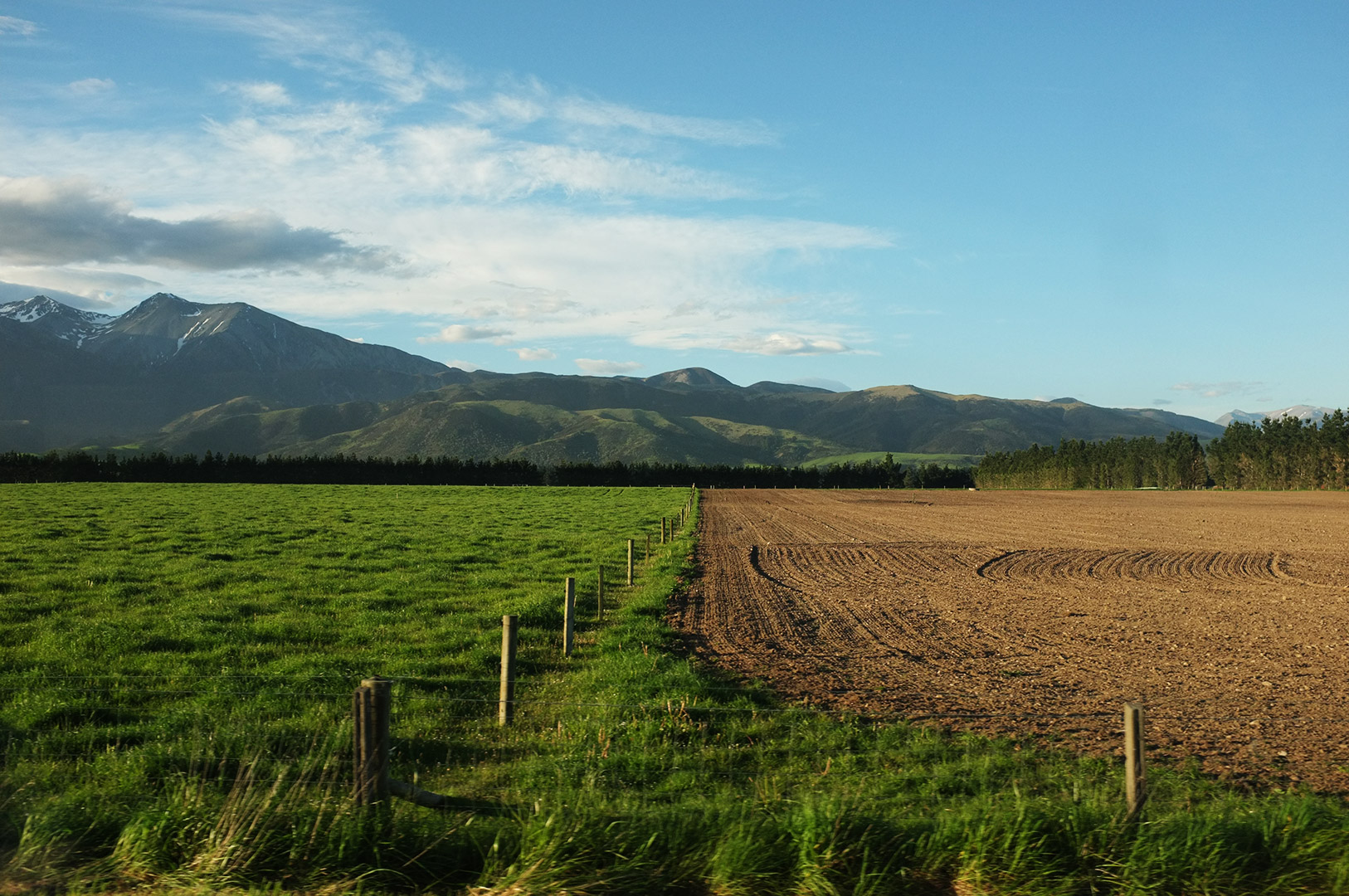 14 Hari Di New Zealand