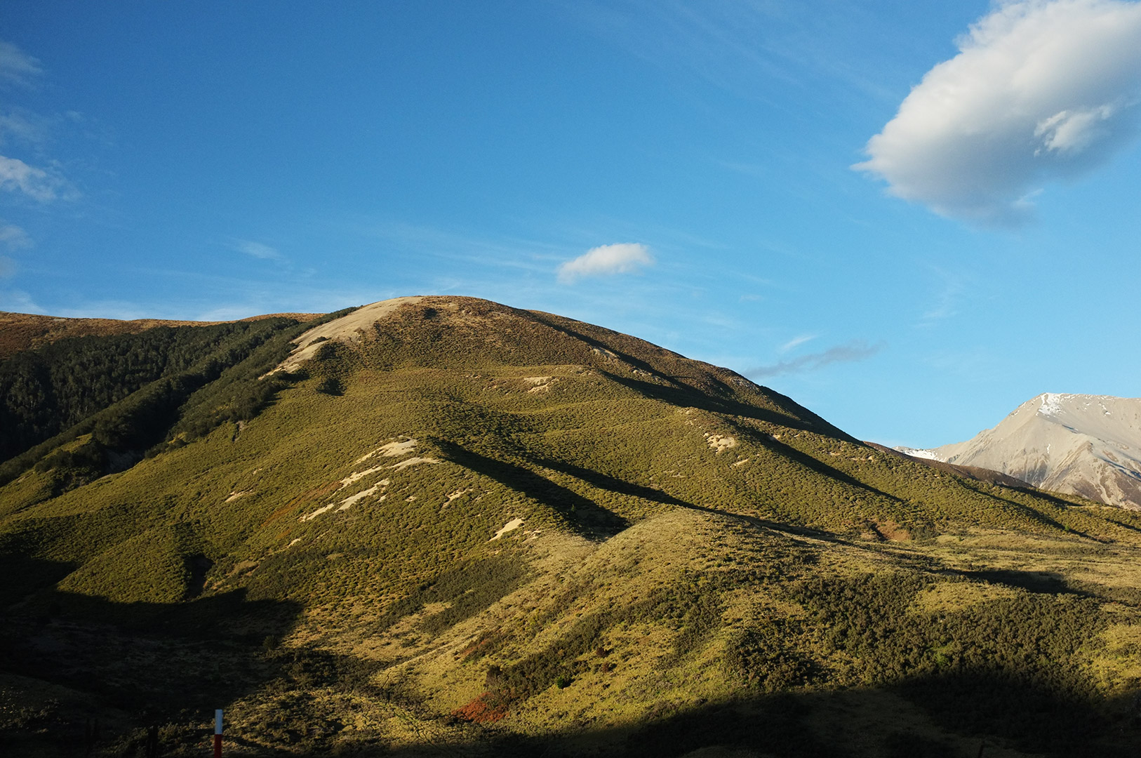 14 Hari Di New Zealand