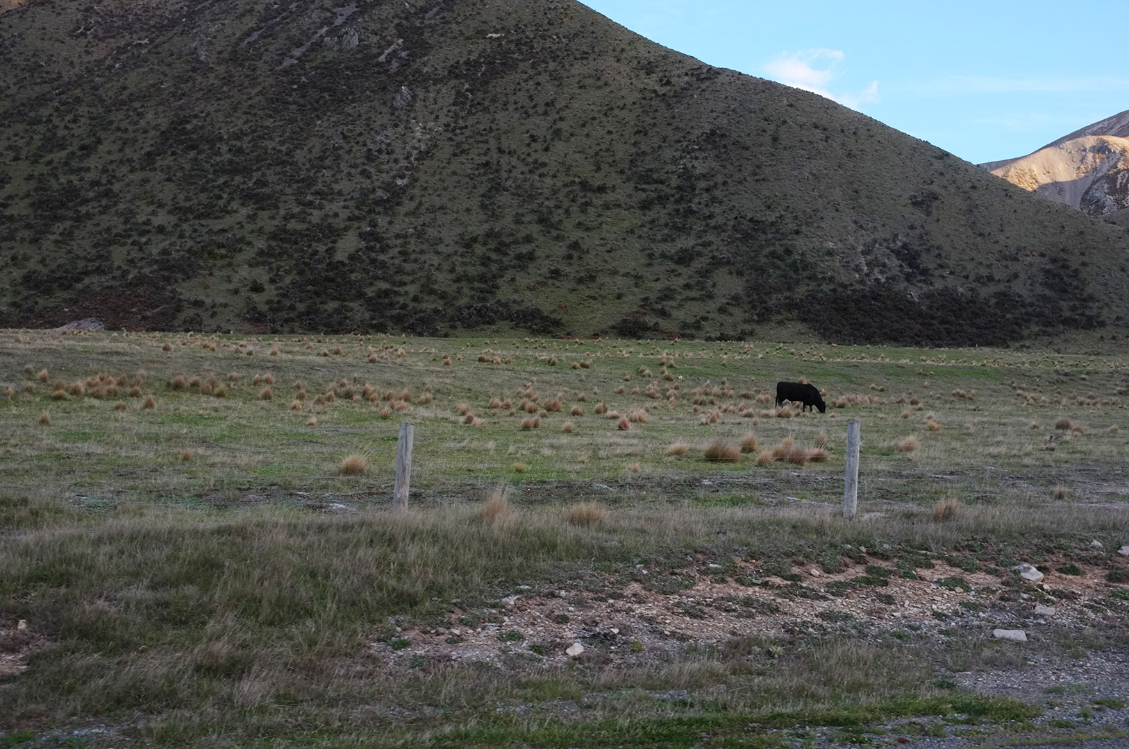 14 Hari Di New Zealand