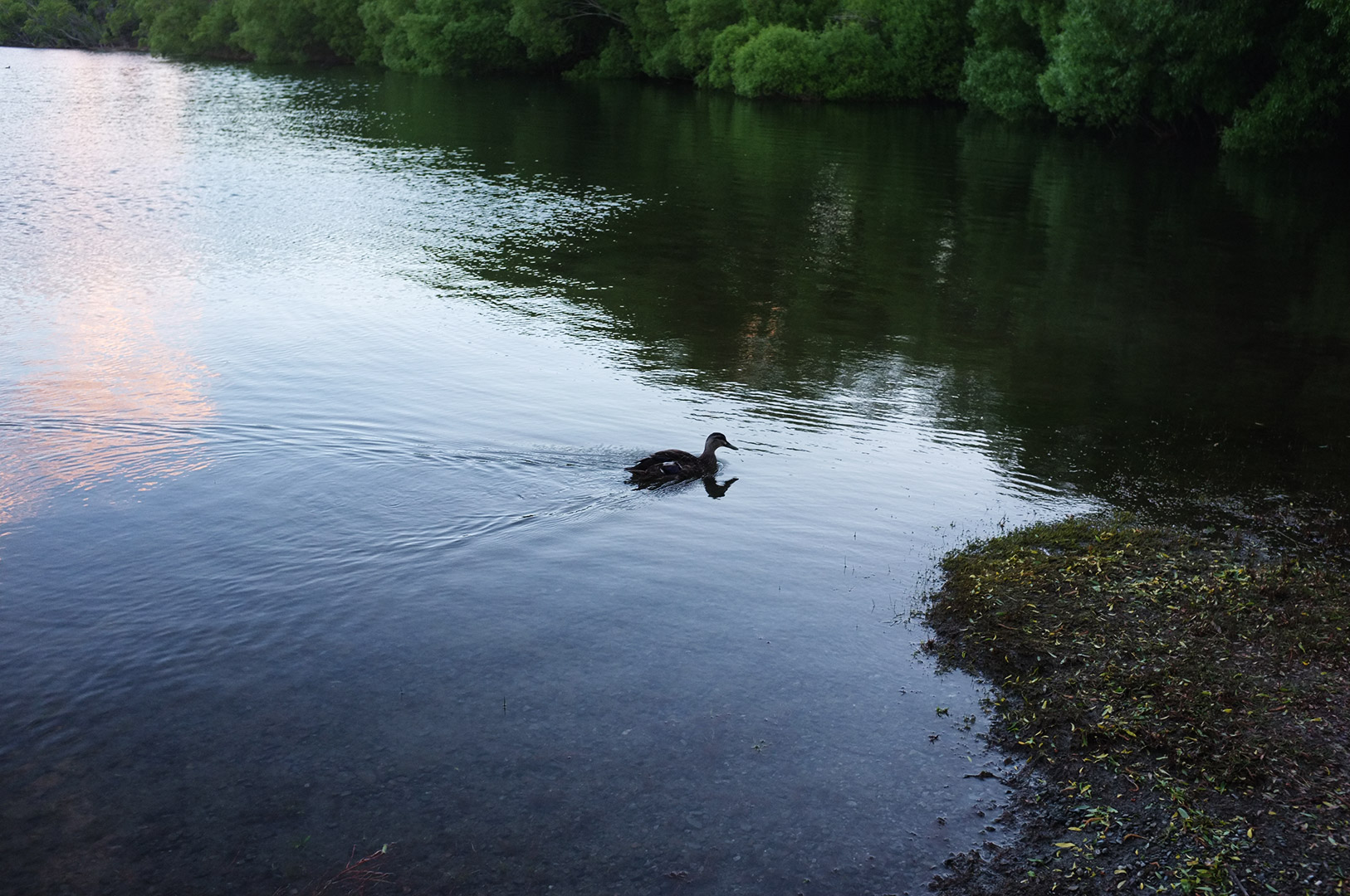 14 Hari Di New Zealand