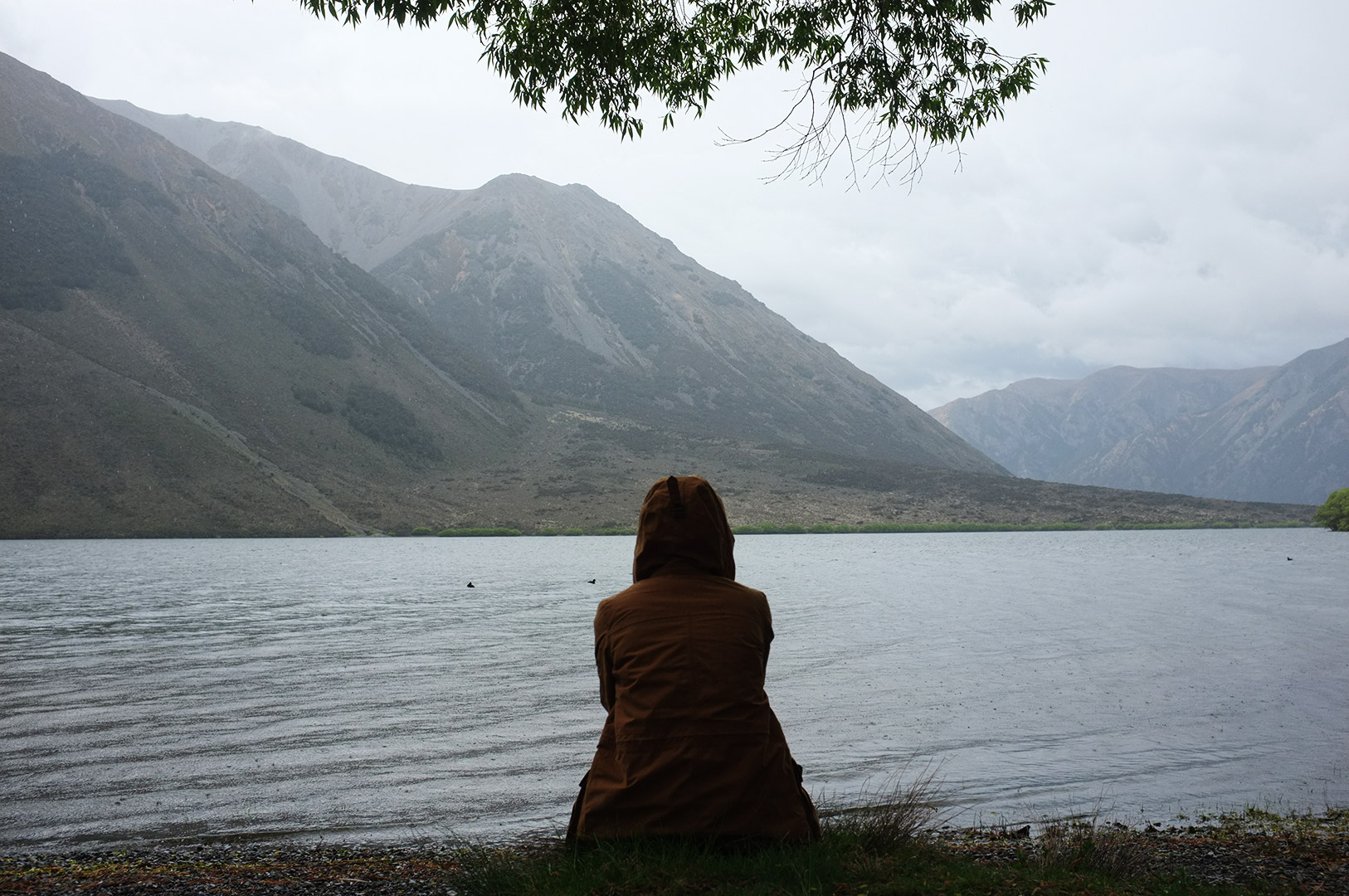 14 Hari Di New Zealand