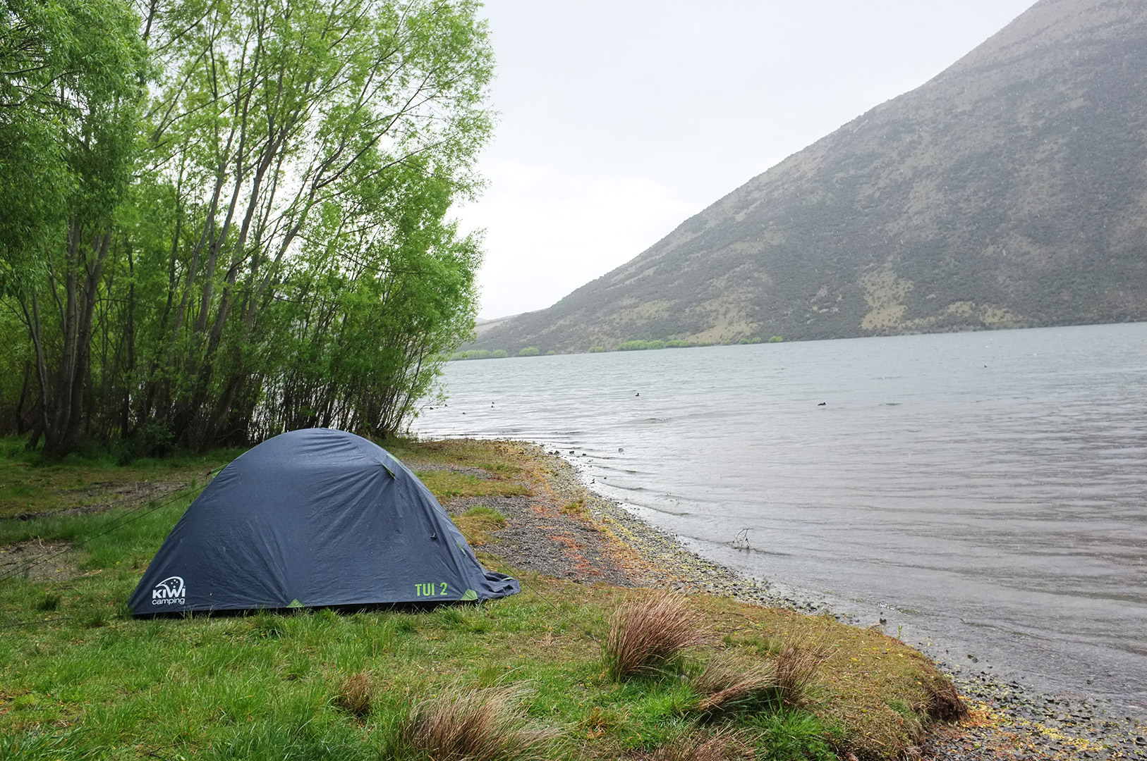 14 Hari Di New Zealand