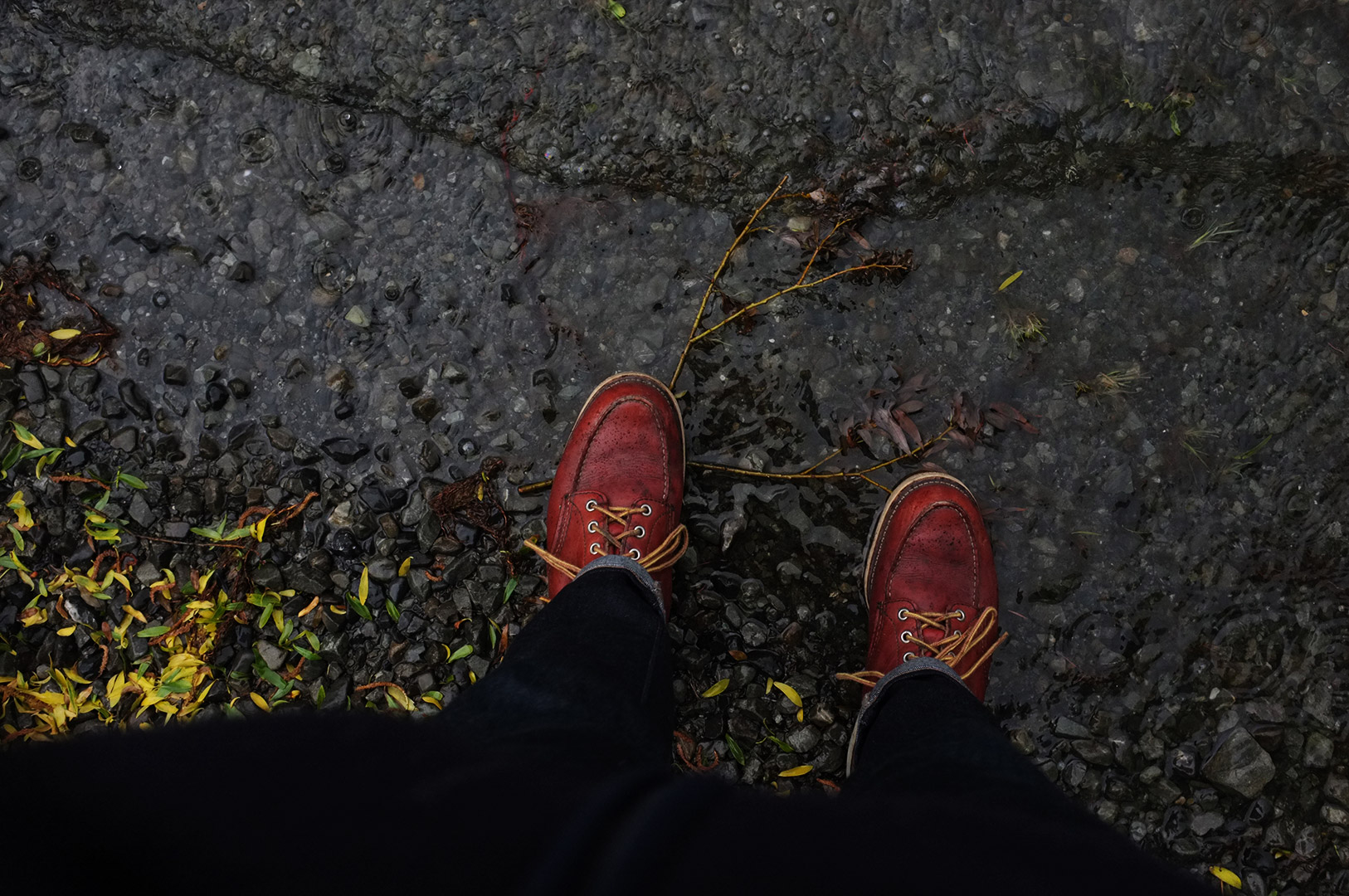 14 Hari Di New Zealand