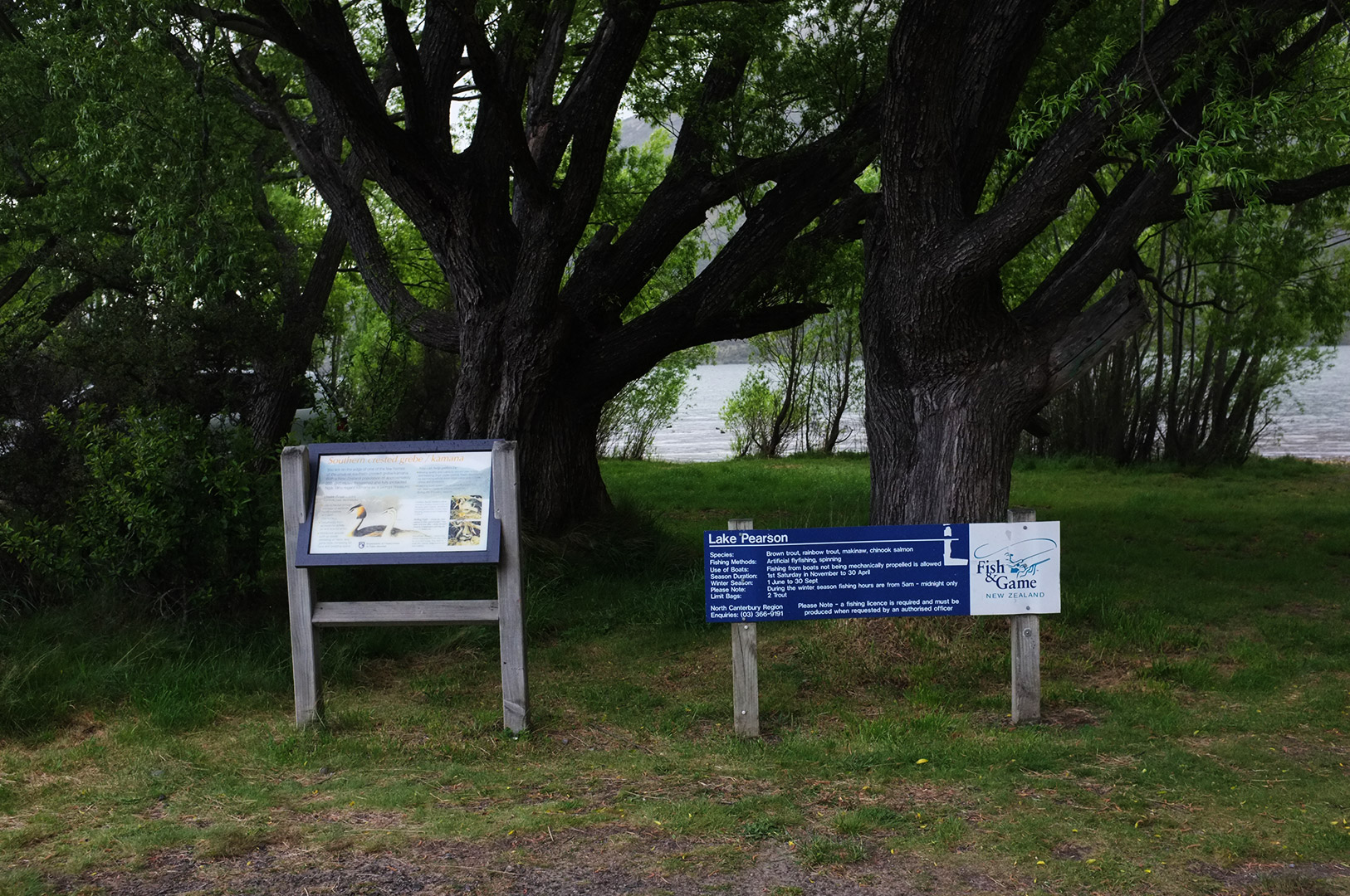 14 Hari Di New Zealand