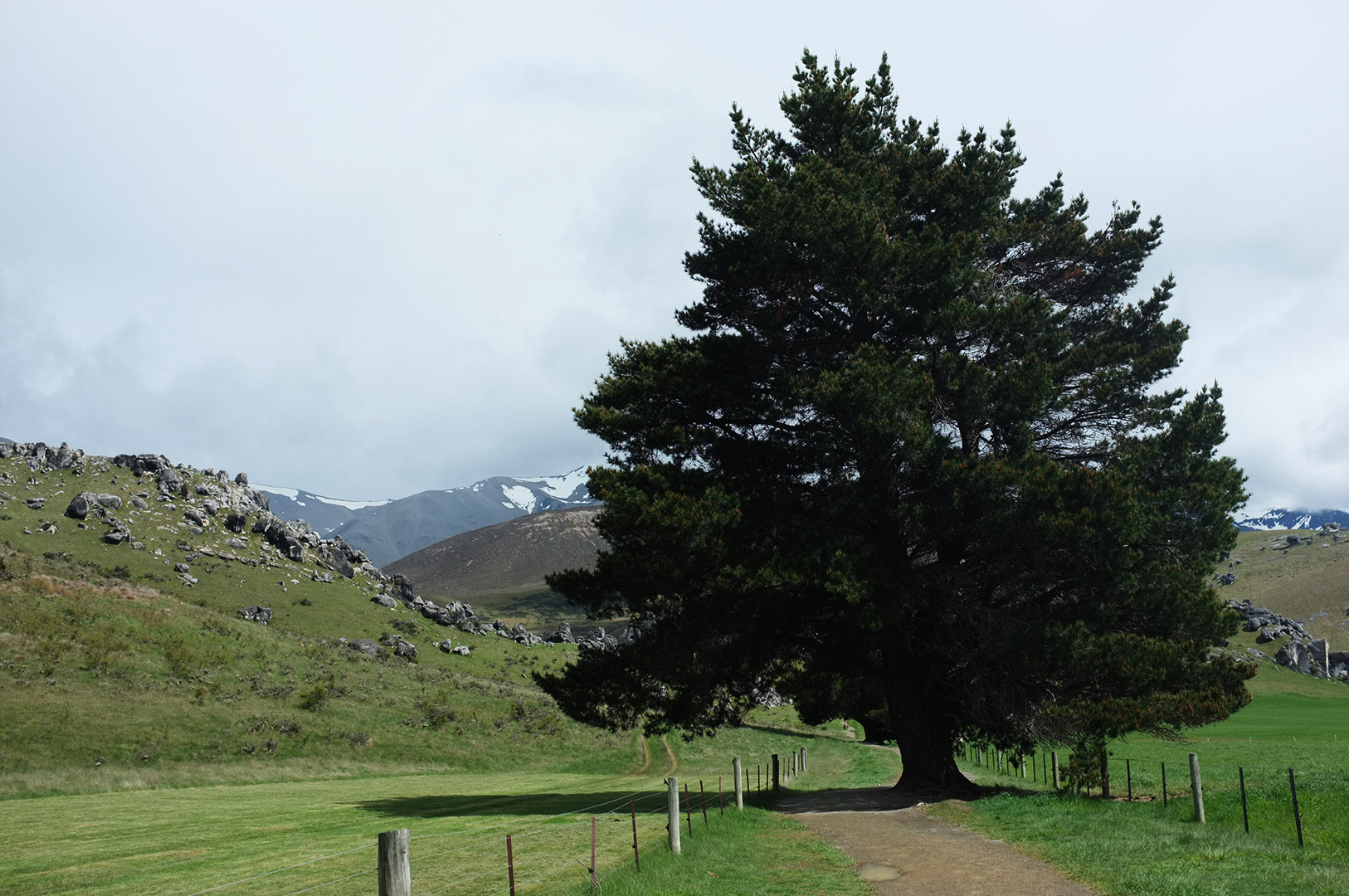 14 Hari Di New Zealand