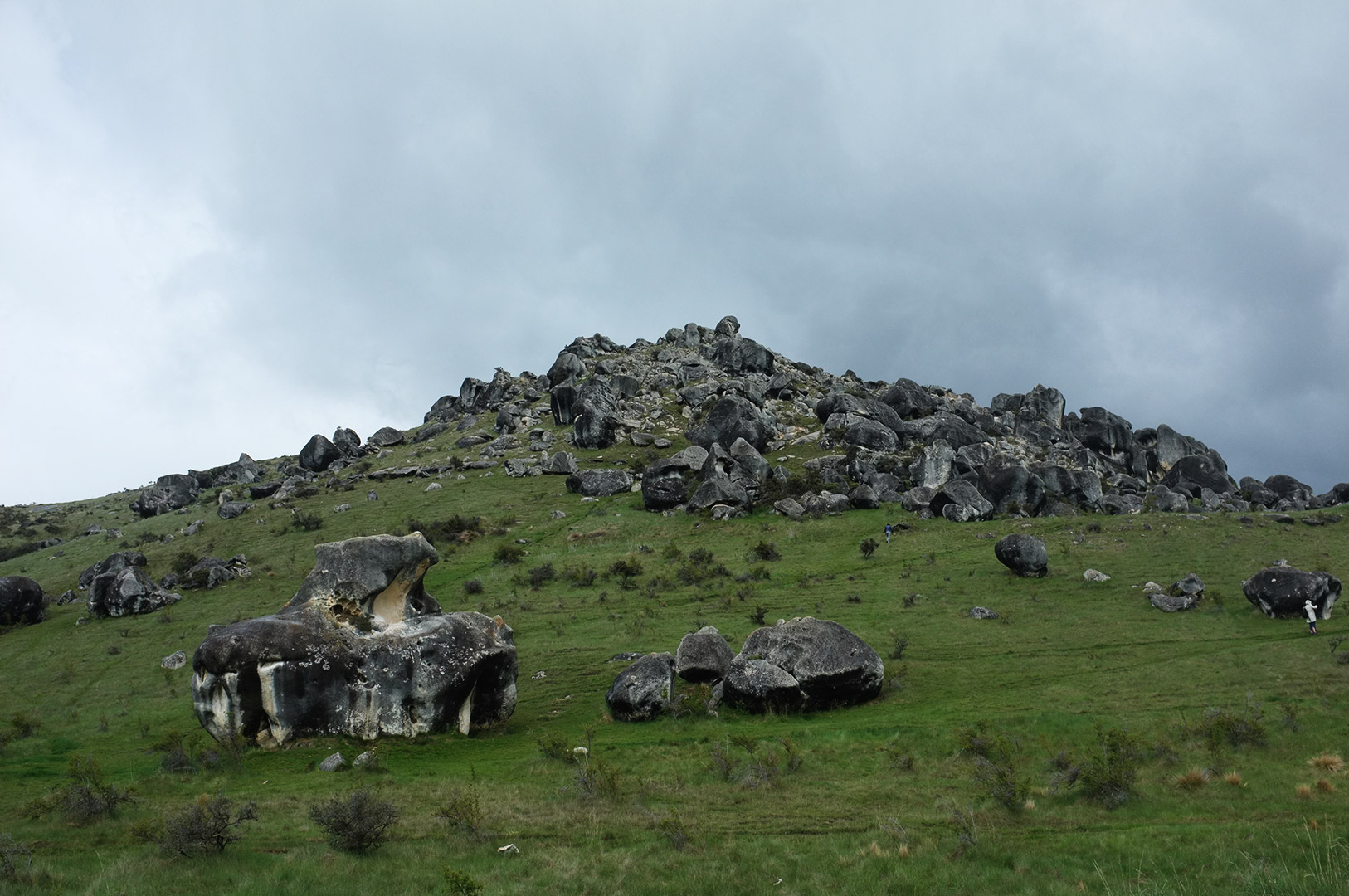 14 Hari Di New Zealand