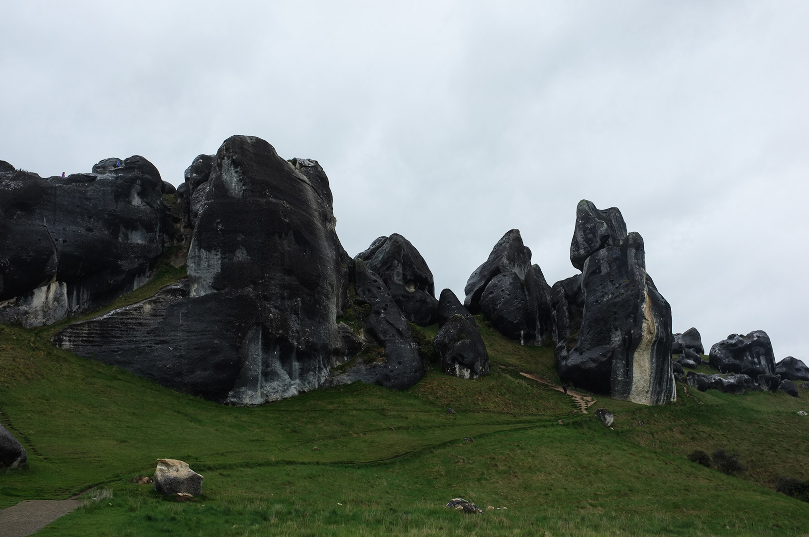 14 Hari Di New Zealand