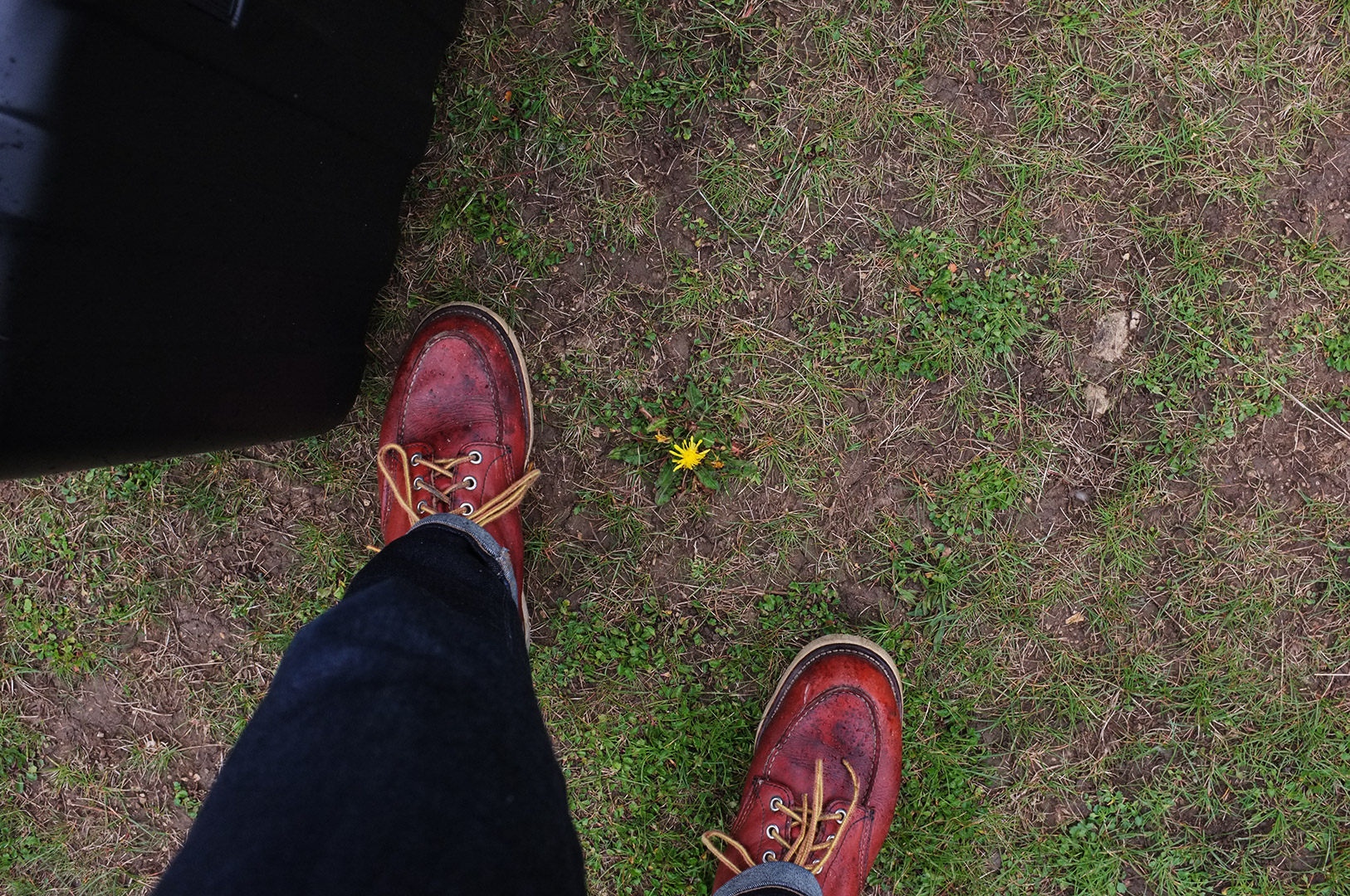 14 Hari Di New Zealand