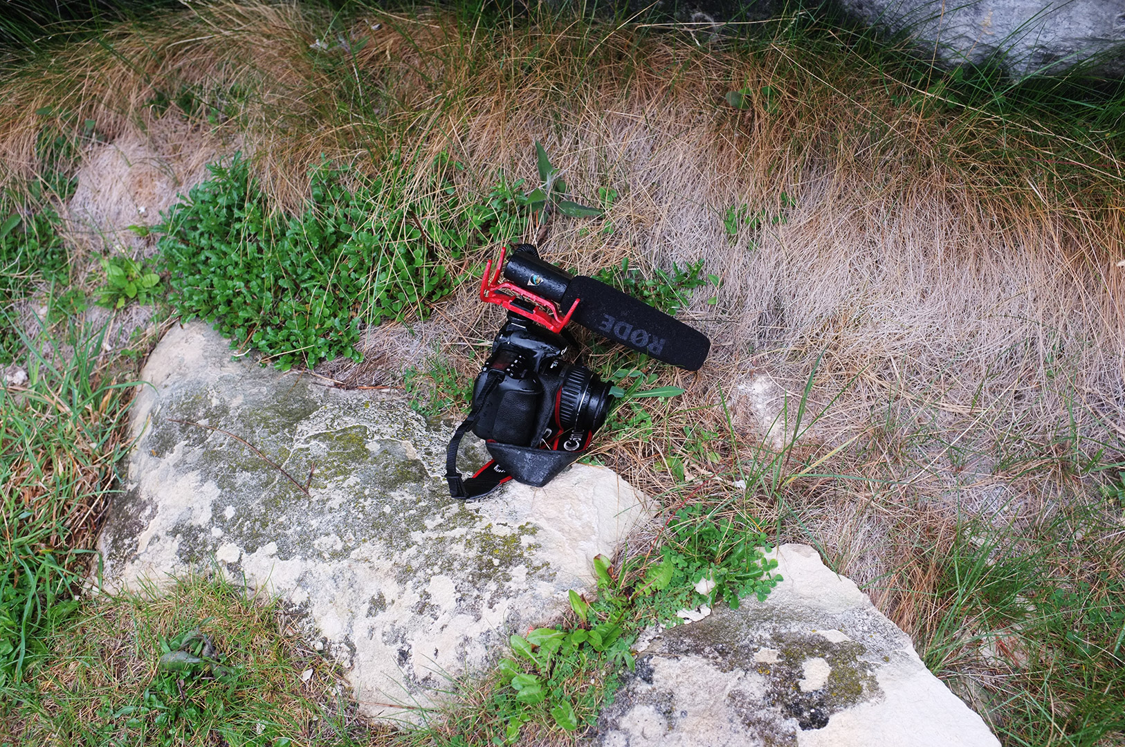 14 Hari Di New Zealand