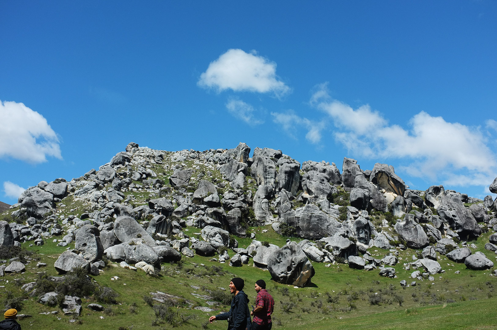 14 Hari Di New Zealand