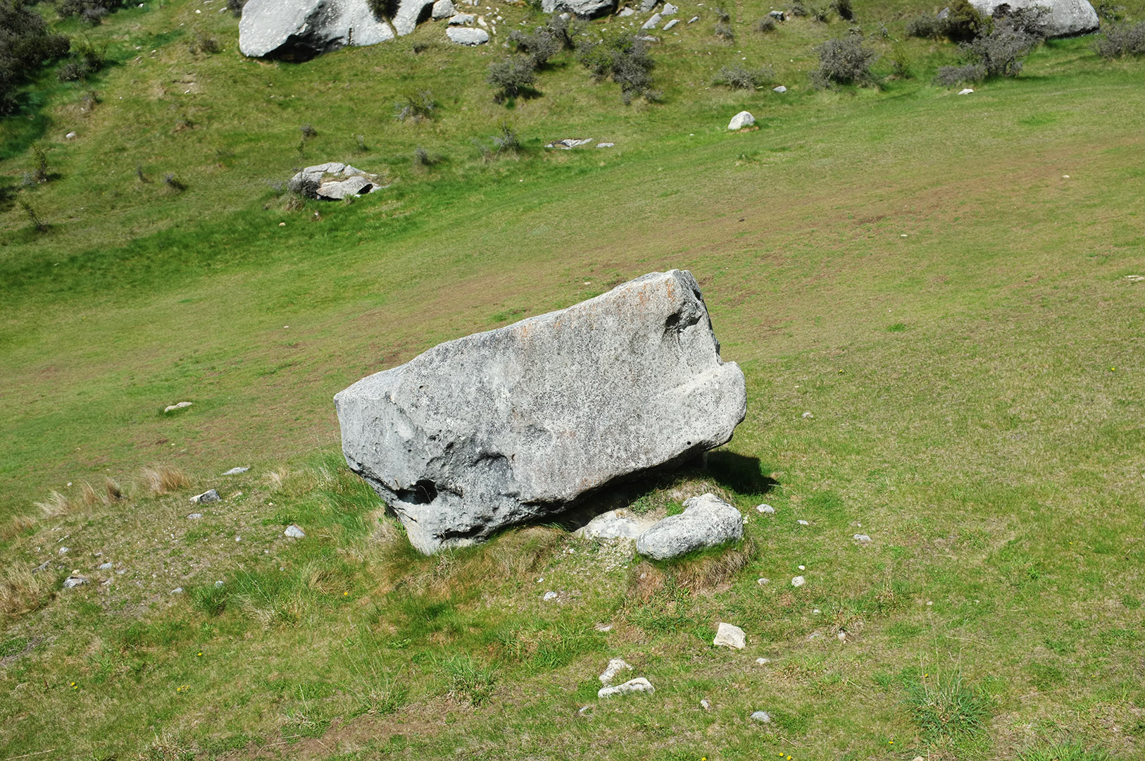 14 Hari Di New Zealand