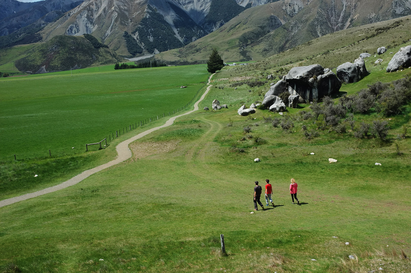 14 Hari Di New Zealand