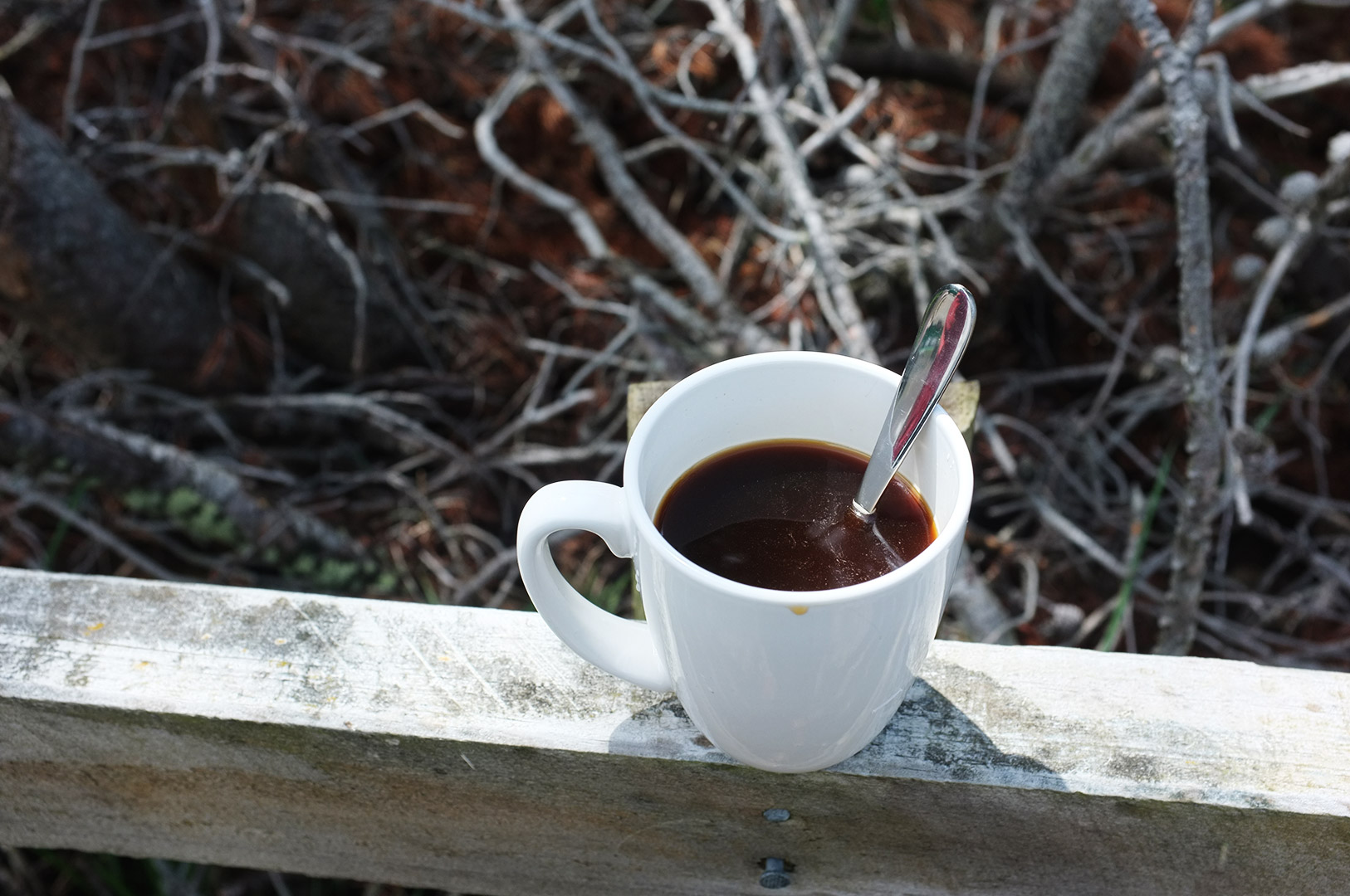 14 Hari Di New Zealand