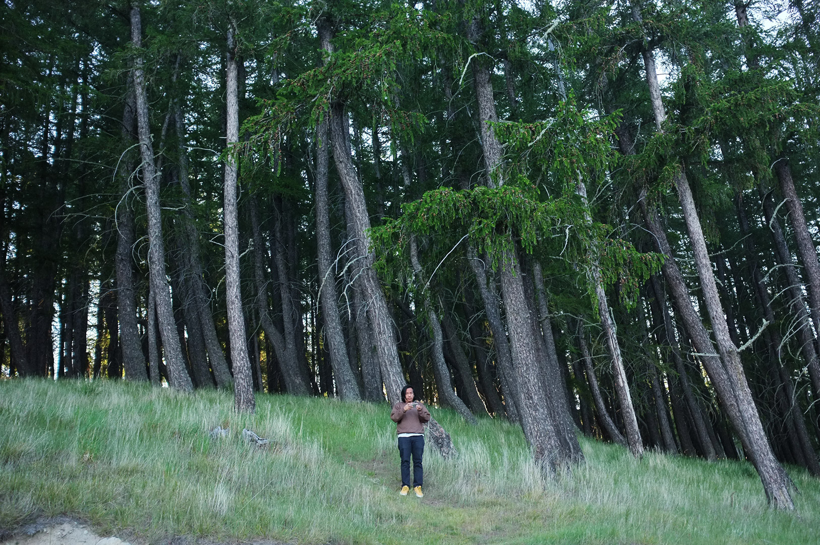 14 Hari Di New Zealand