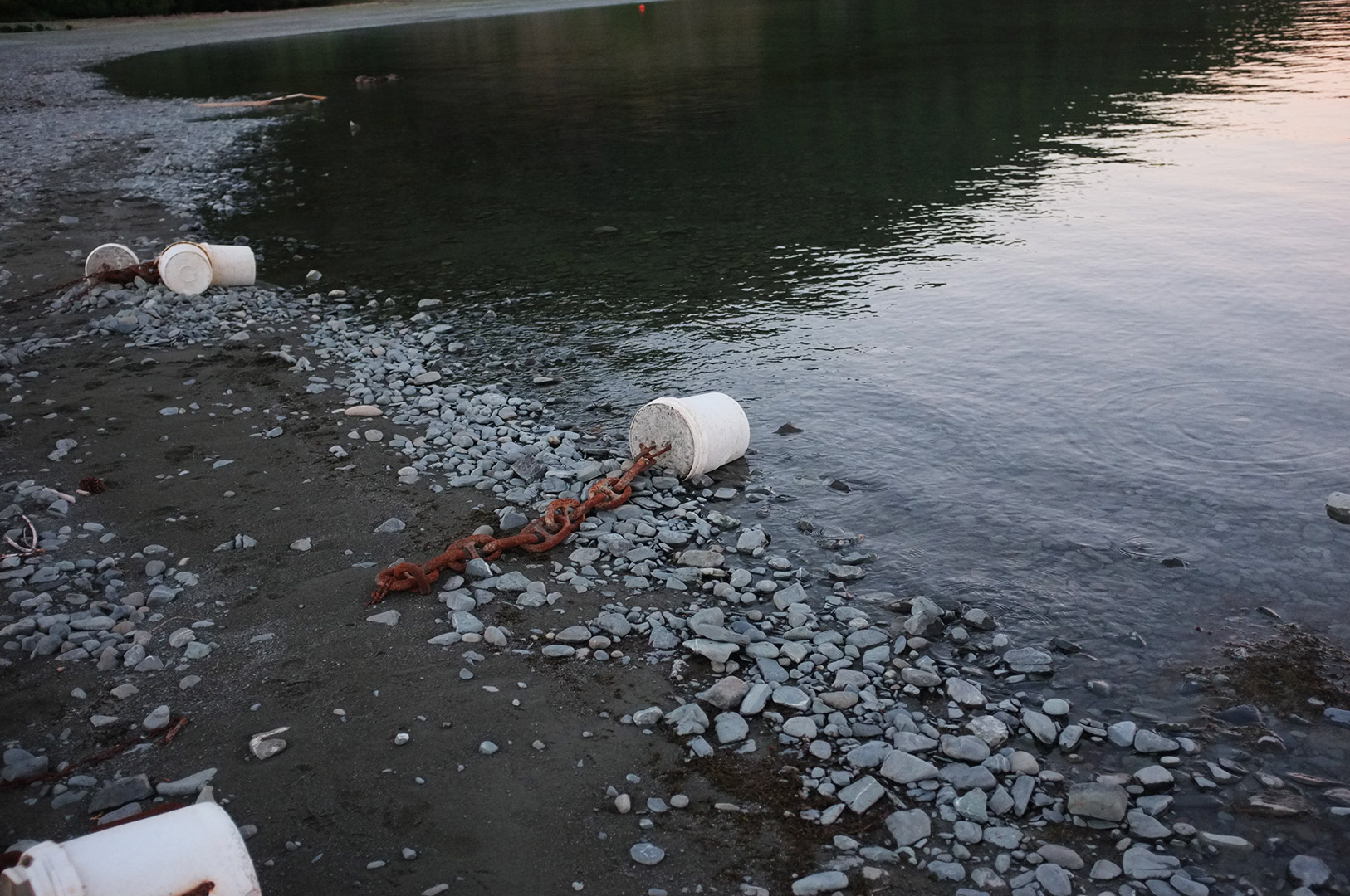 14 Hari Di New Zealand