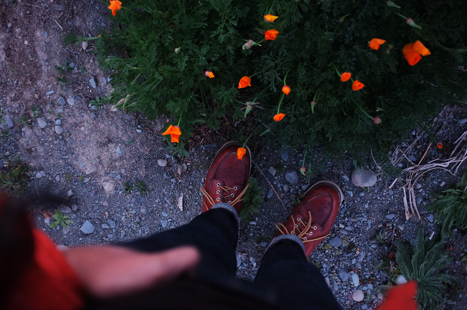 14 Hari Di New Zealand